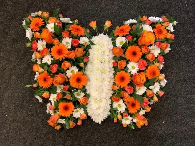 Orange and white butterfly