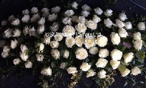 White rose coffin spray