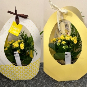 Easter planted gift