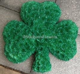 Shamrock