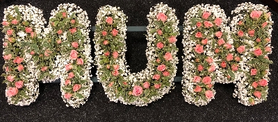 Gyp edged mum tribute