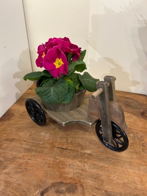 bicycle with single english poly