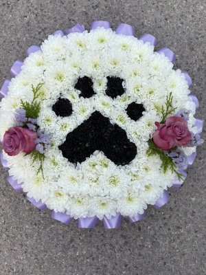 Paw print