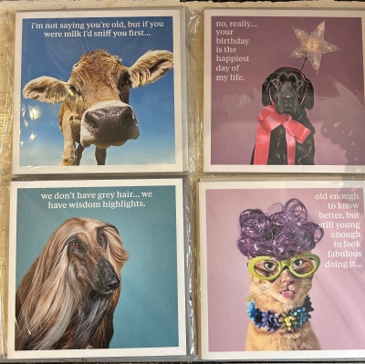 Funny cards