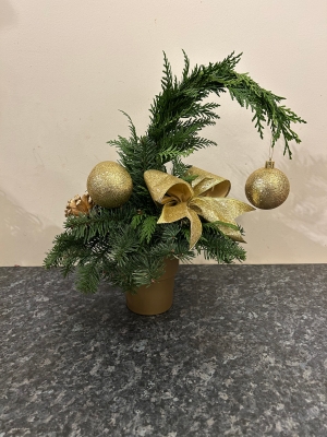 Children's workshop Grinch tree in a pot