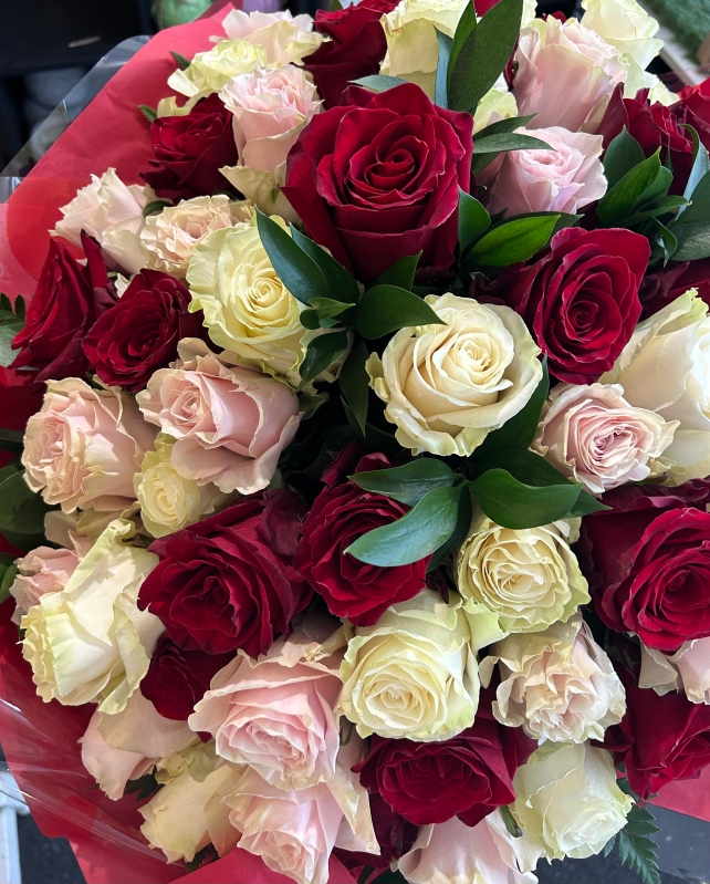 Mixed roses