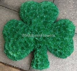 Shamrock