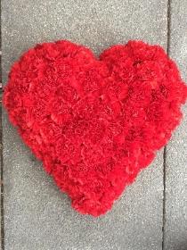 All Red carnation heart