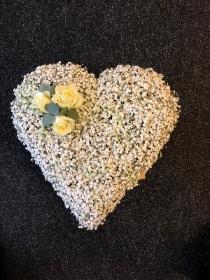 All Gypsophilia Heart