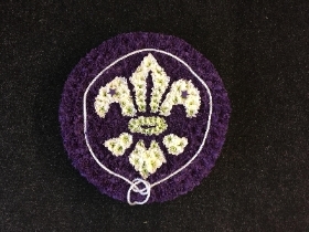 Scout badge
