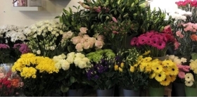 Florist choice arrangement in a bag