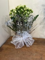 Large Kalanchoe Indoor plant