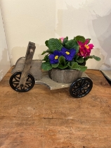 bicycle with 3 poly plants