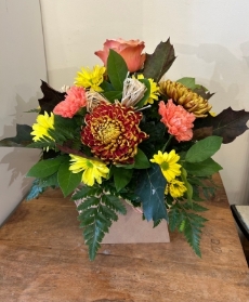 Autumnal Emma box