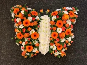 Orange and white butterfly