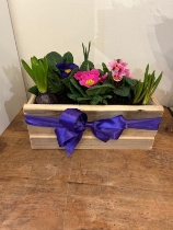 Seasonal wooden planter